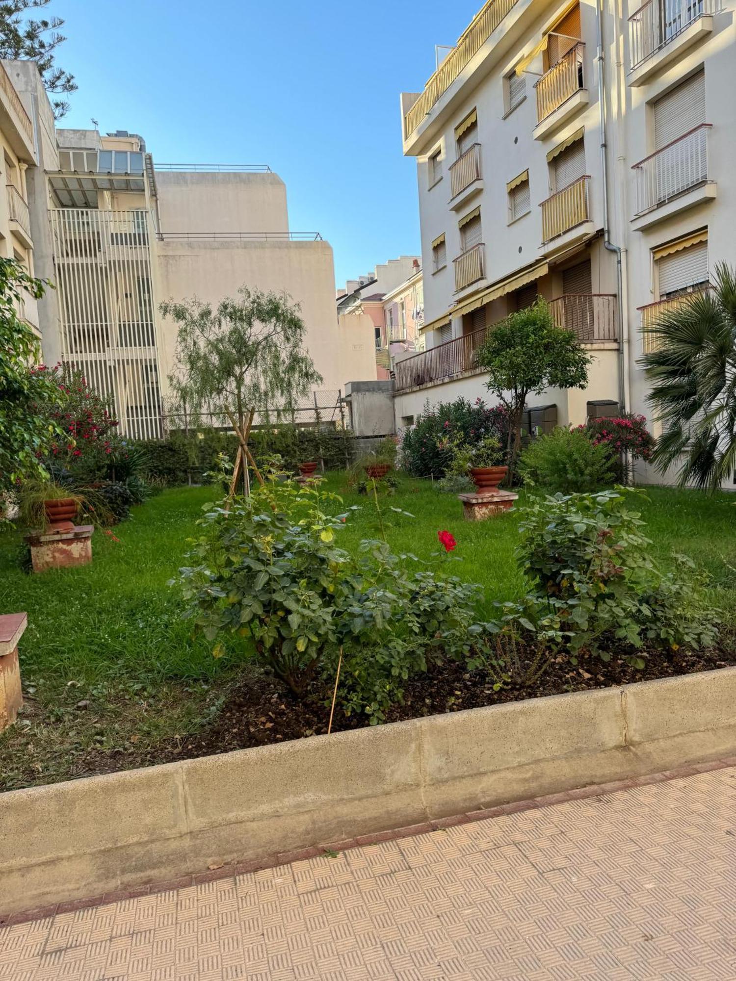 Apartment Du Casino *