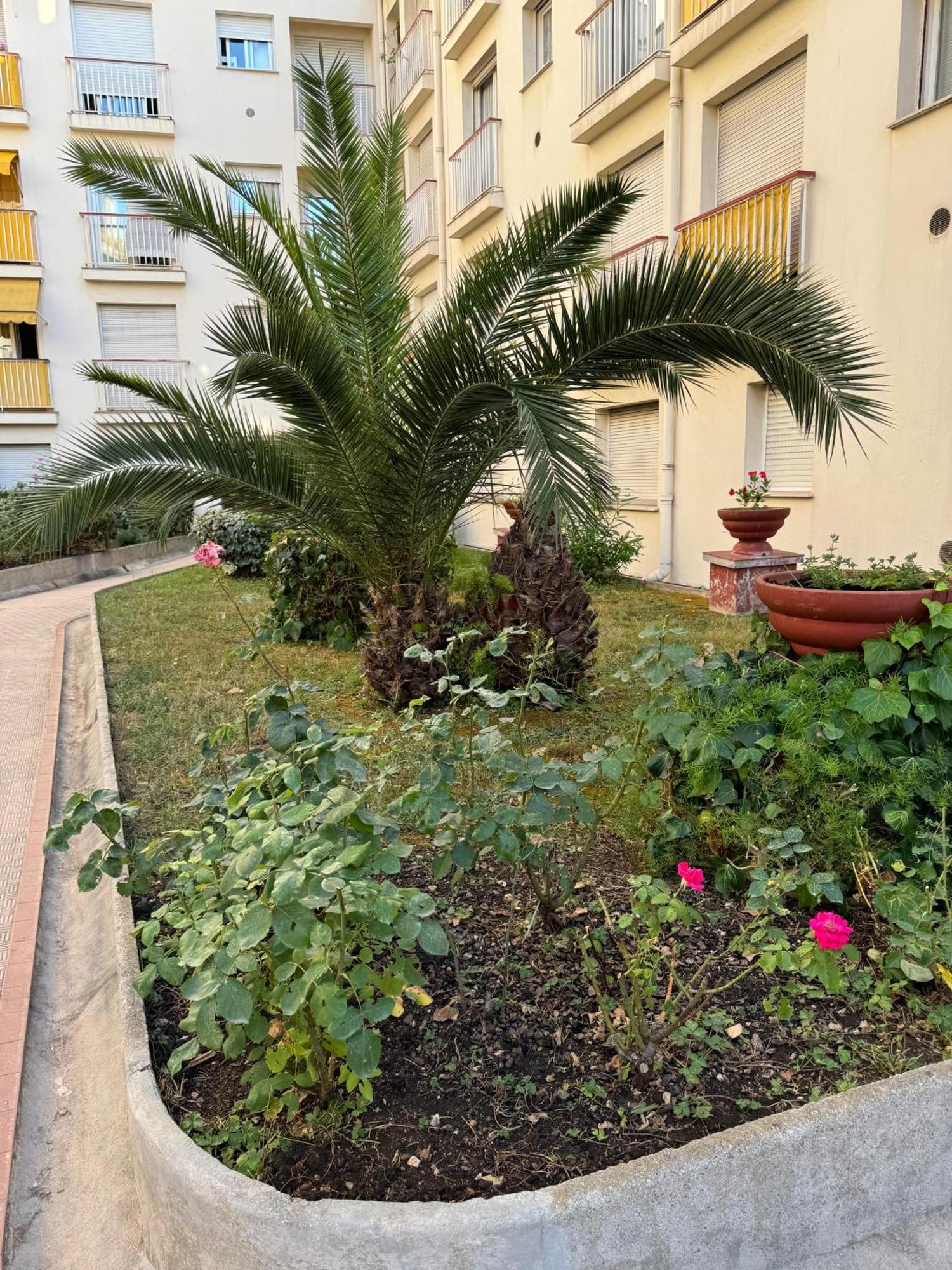 Du Casino Appartement *